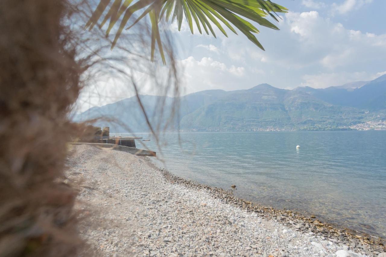 Dream Lake Apartments Lake View - Private Beach By Rent All Como Lezzeno Extérieur photo